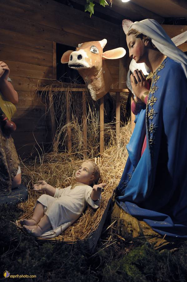 Nom de l'image : D30043101_1_(c)Norbert-JUNG — Description :